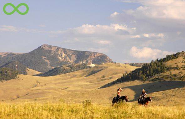 Formation Internationale la Cense