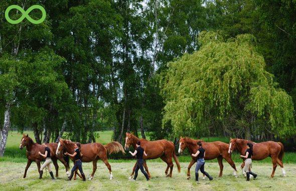 Formation Internationale la Cense