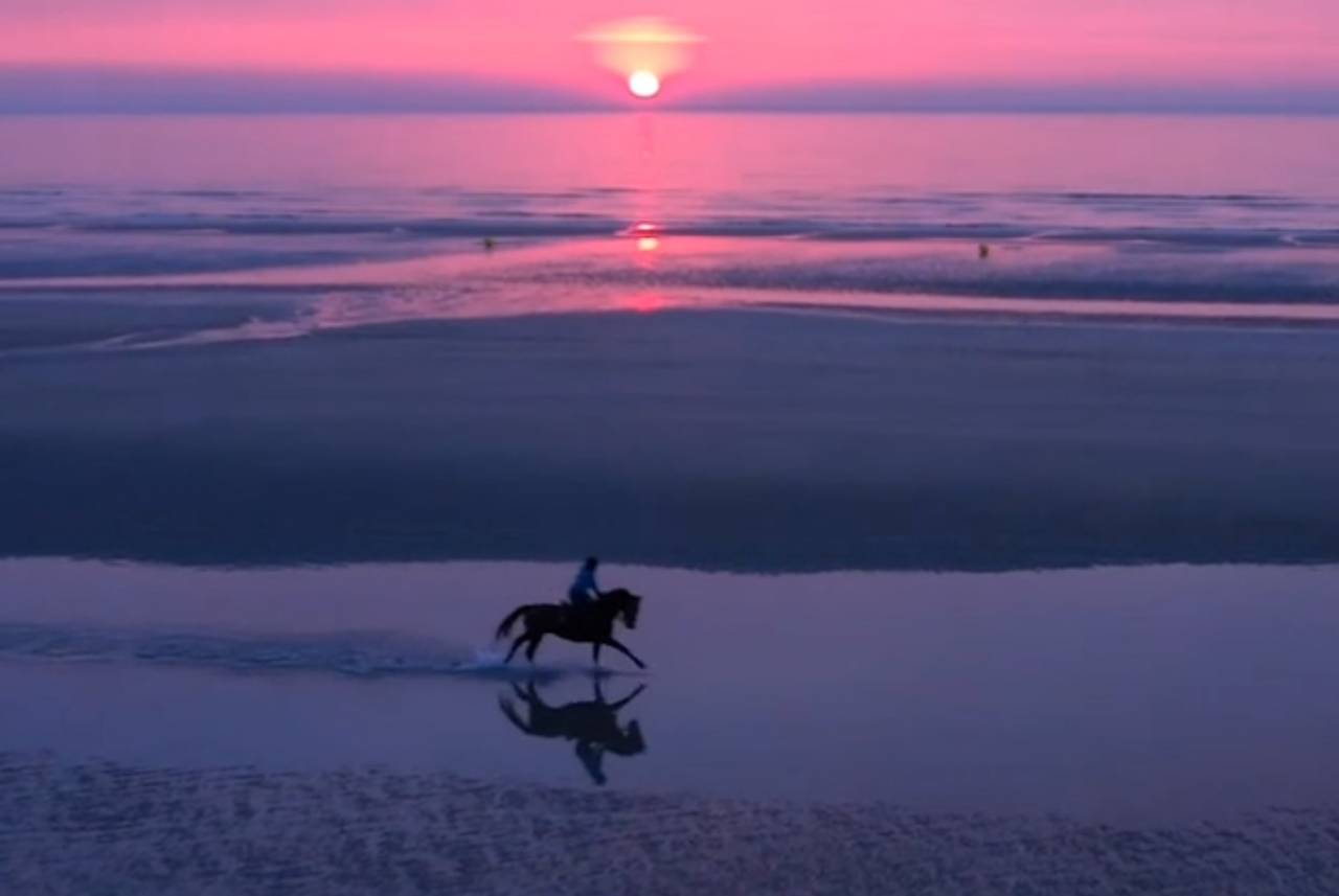 Prestations équitation (cours et/ou massages)