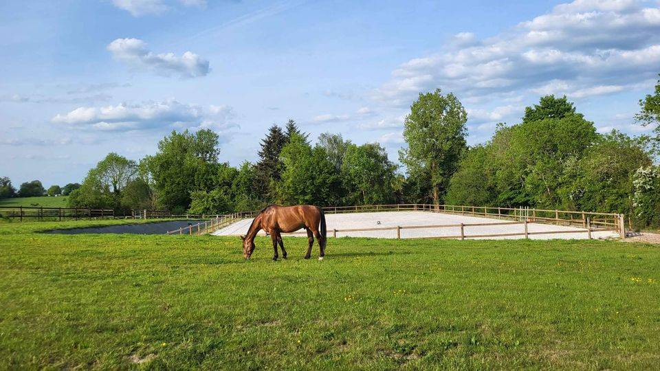 Prestations équitation (cours et/ou massages)