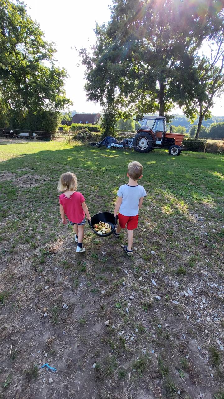 Prestations équitation (cours et/ou massages)