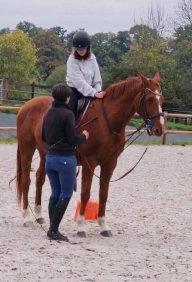 Prestations équitation (cours et/ou massages)
