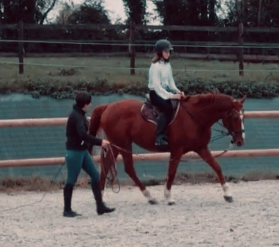 Prestations équitation (cours et/ou massages)