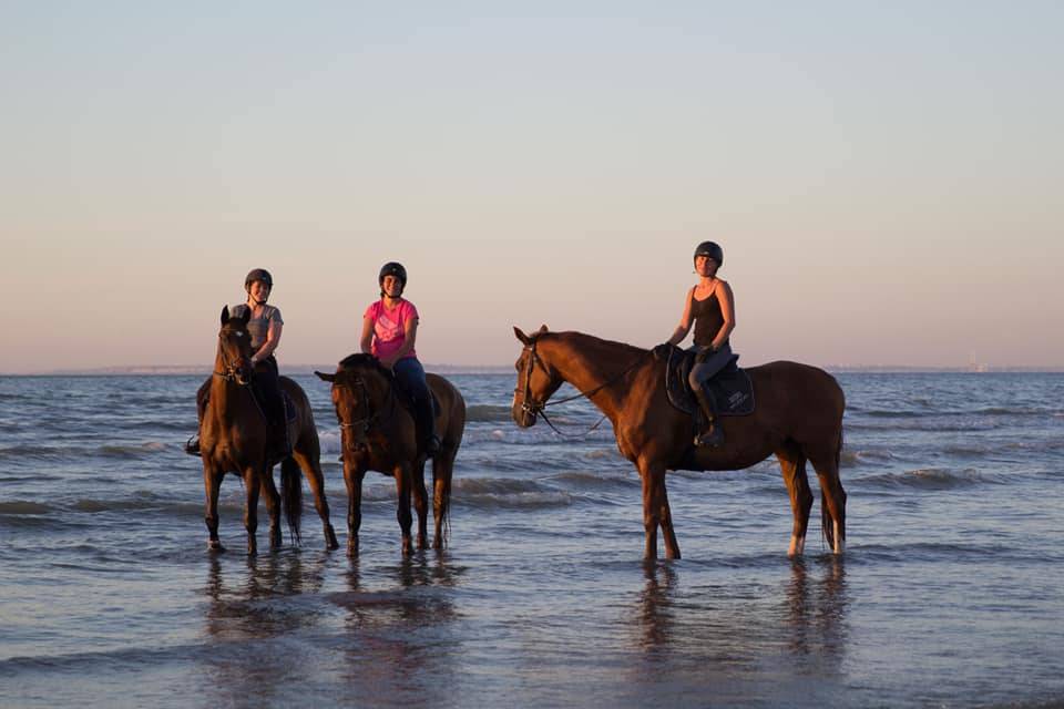 Prestations équitation (cours et/ou massages)