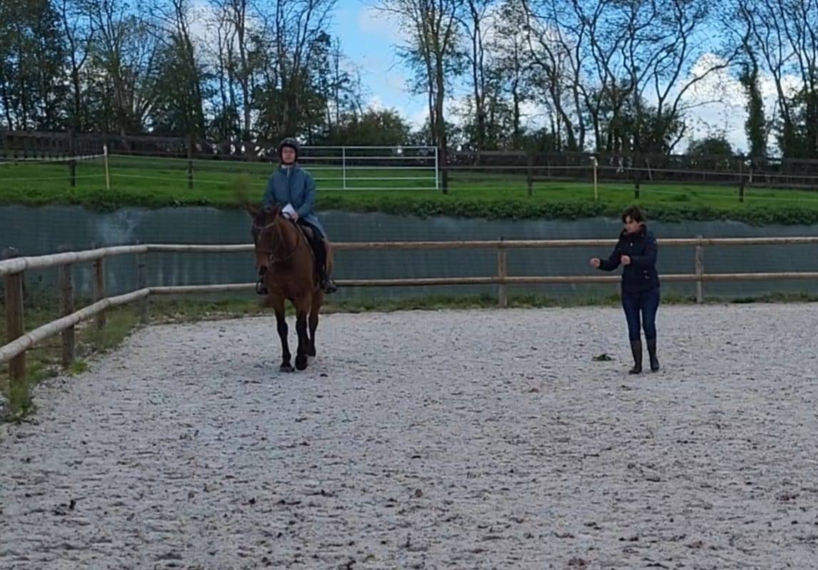 Prestations équitation (cours et/ou massages)