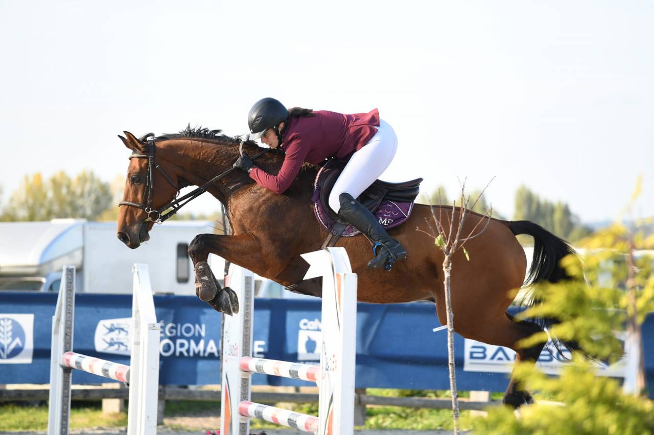 Prestations équitation (cours et/ou massages)