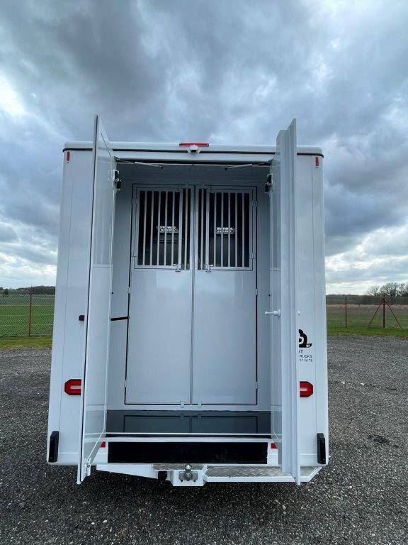 RENAUTL MASTER HARAS 5 - VENDU