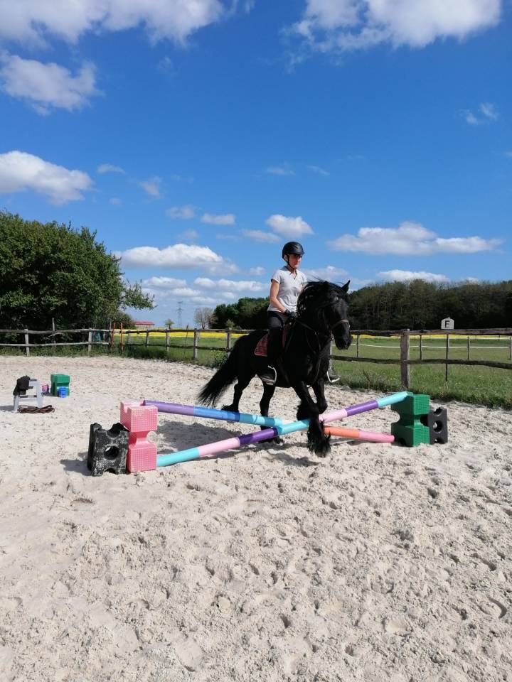 Pension chevaux Ecurie La Bohême 