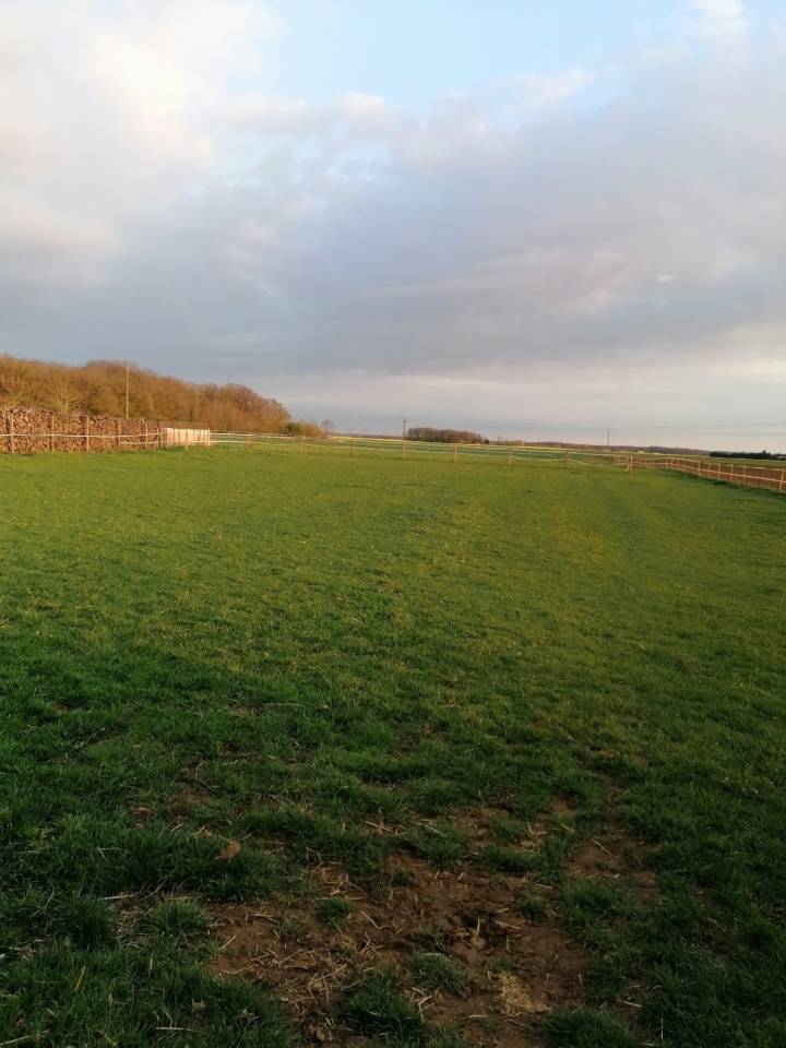 Pension chevaux Ecurie La Bohême 