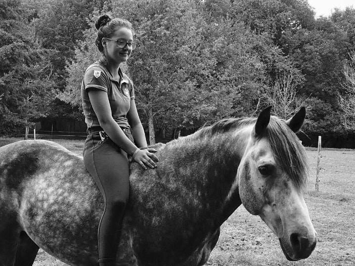 Coclicot - Beau mâle Connémara pour Saillie