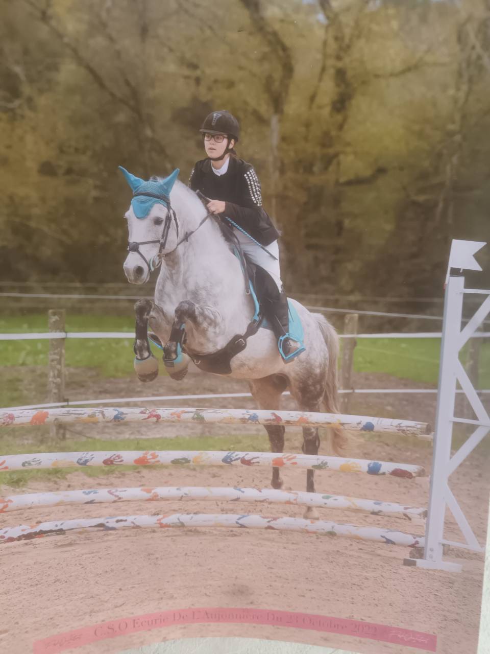 Coclicot - Beau mâle Connémara pour Saillie