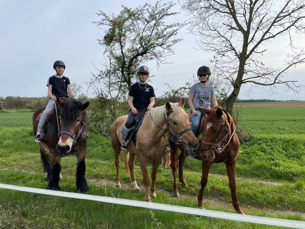 Pension Romagne (86700)