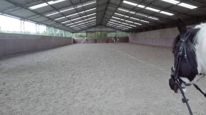 Ecurie de Propriétaires - Ecurie de la Champagne (45)