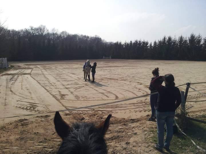 Ecurie de Propriétaires - Ecurie de la Champagne (45)