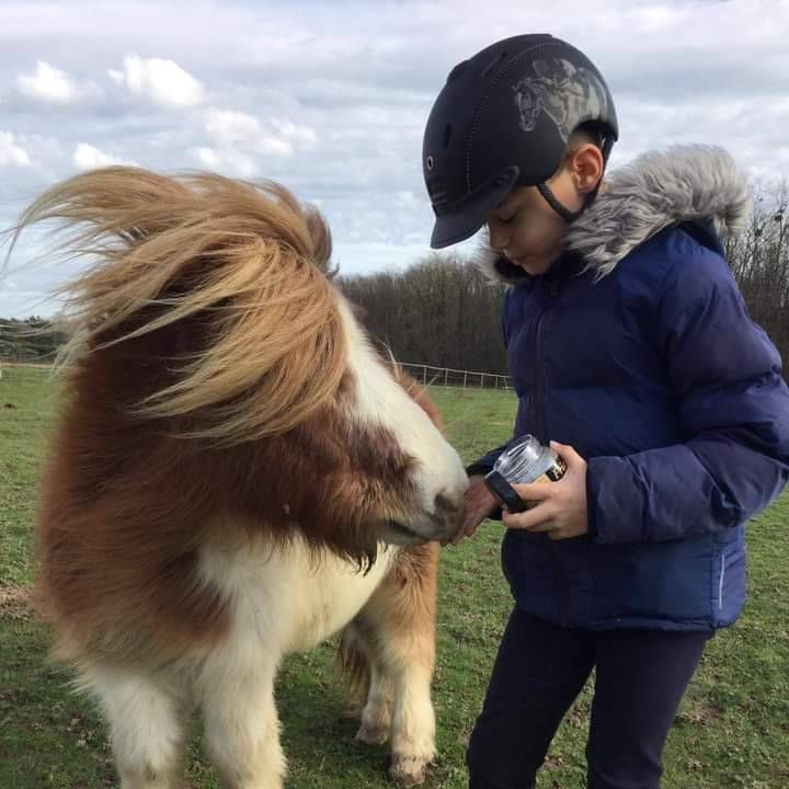 Ecurie de Propriétaires - Ecurie de la Champagne (45)