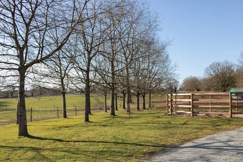 Pension propriétaire & Elevage 