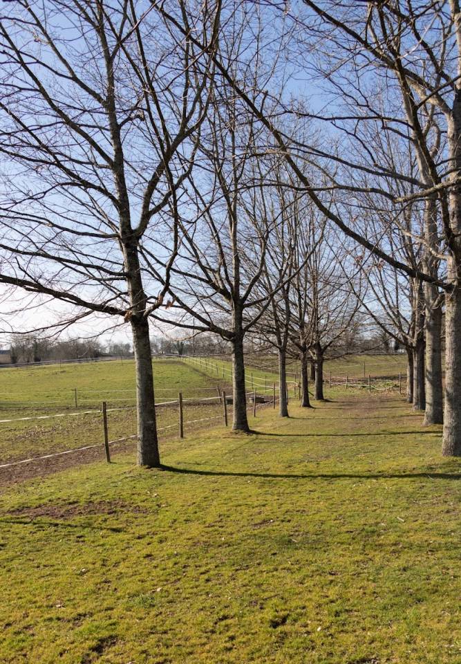 Pension propriétaire & Elevage 