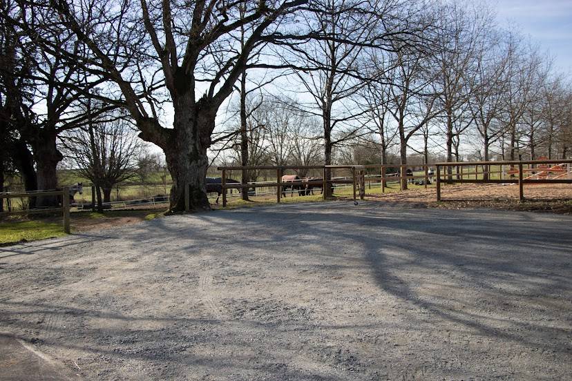 Pension propriétaire & Elevage 