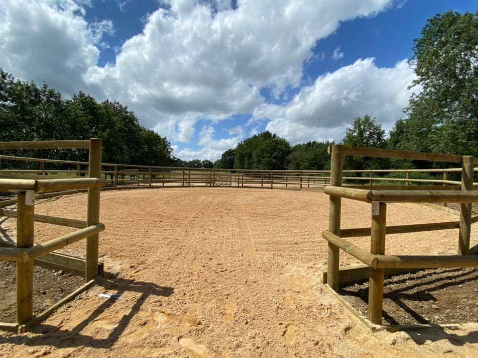 Pension propriétaire & Elevage 