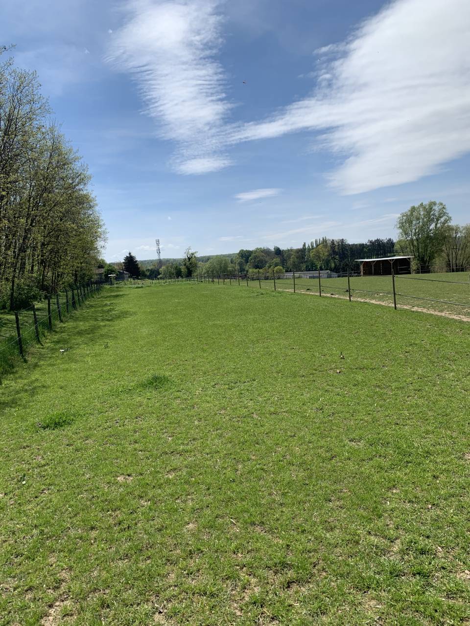 Pension bien &ecirc;tre pour chevaux et poney (01)