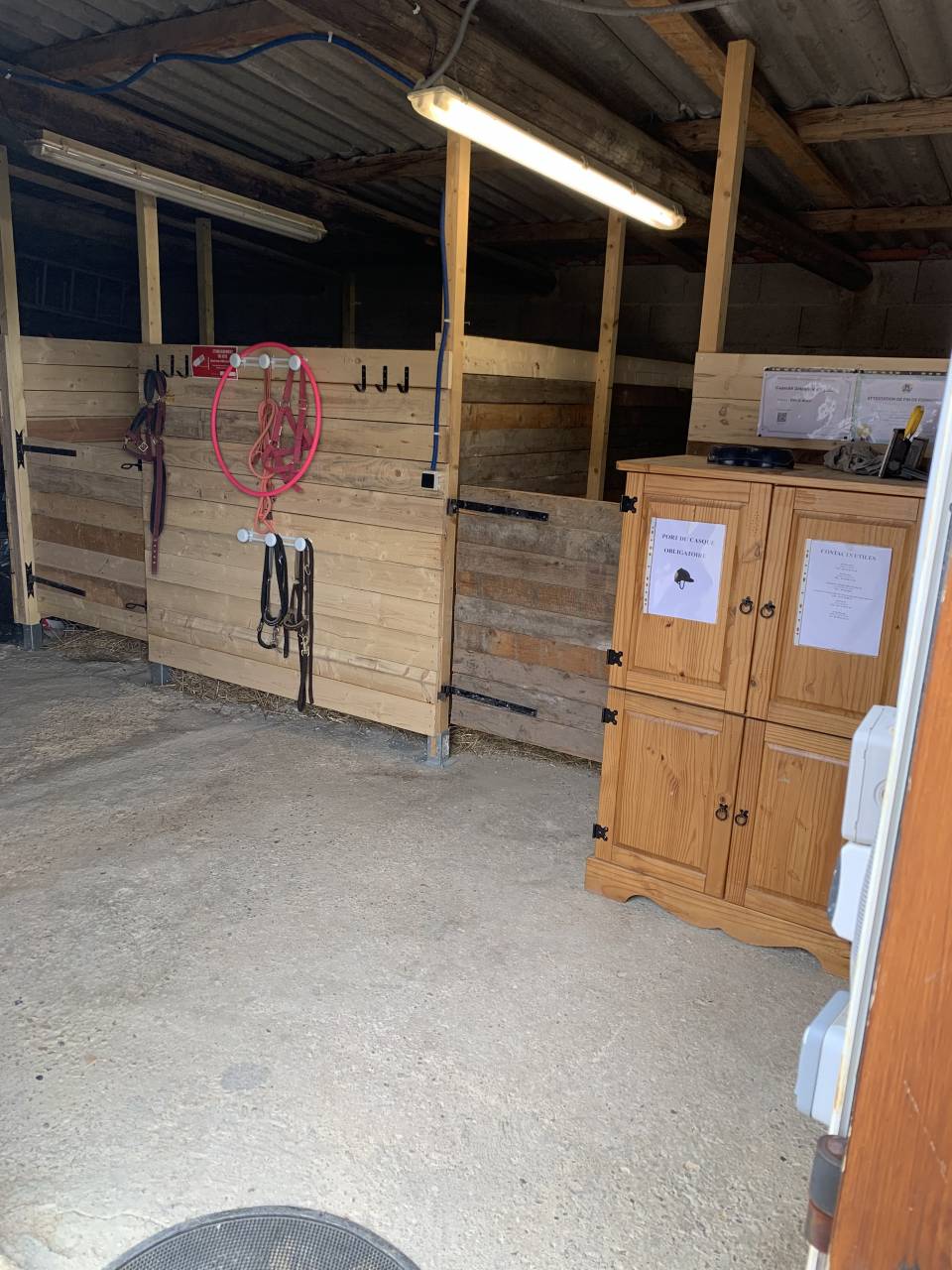 Pension bien &ecirc;tre pour chevaux et poney (01)