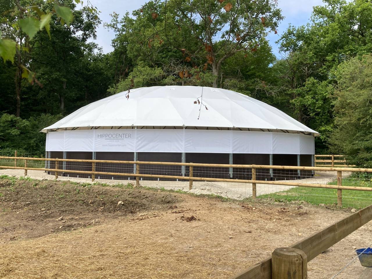 Rond de longe modèle Professionnel - HIPPOCENTER