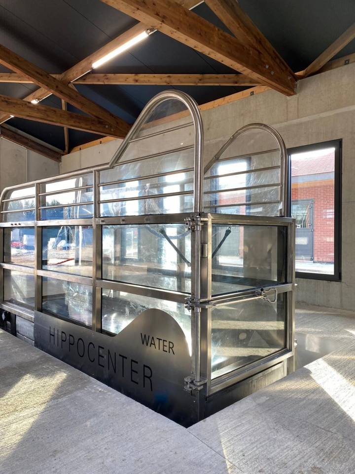 Tapis roulant aquatique Protrainer Water - HIPPOCENTER