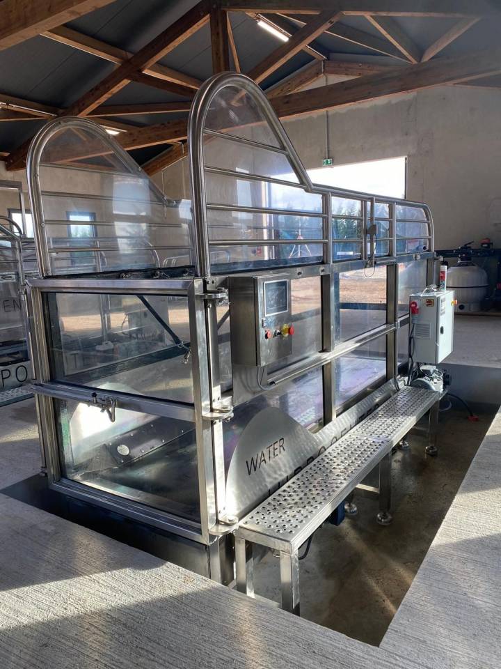 Tapis roulant aquatique Protrainer Water - HIPPOCENTER