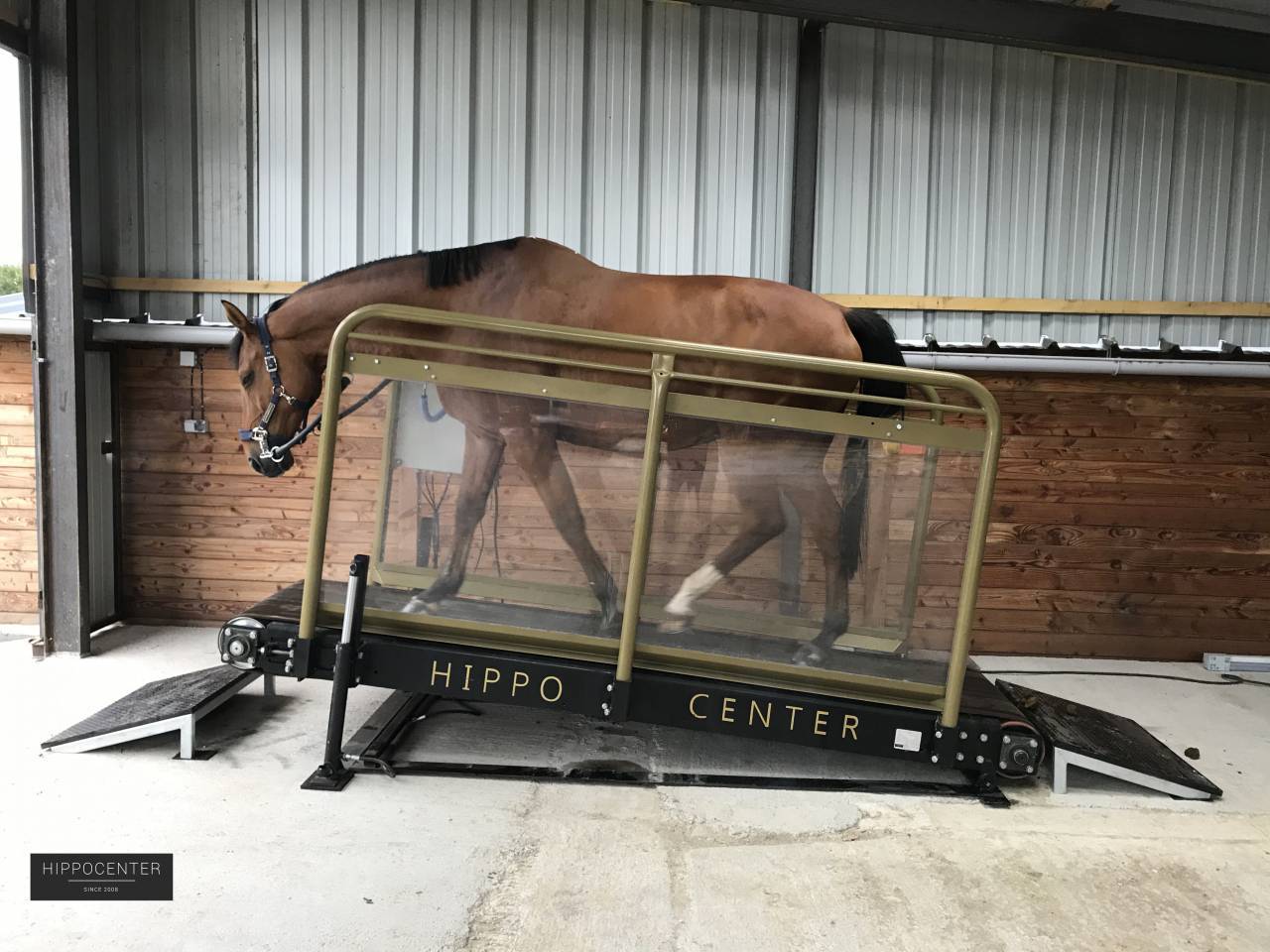 Tapis roulant Hippotrainer Plus - HIPPOCENTER