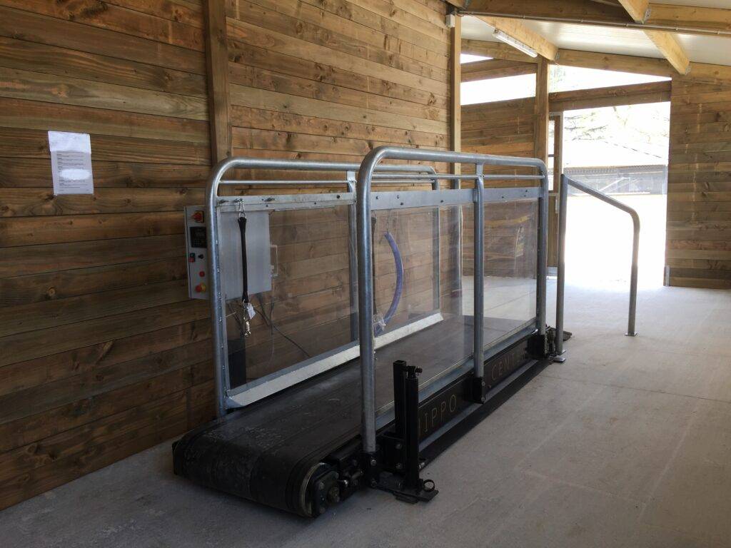 Tapis roulant Hippotrainer Plus - HIPPOCENTER