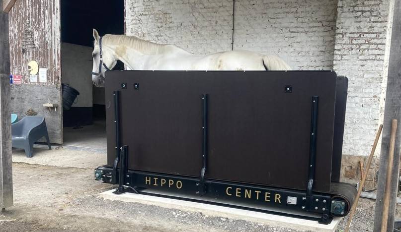 Tapis roulants d'occasion pour chevaux Hippotrainer