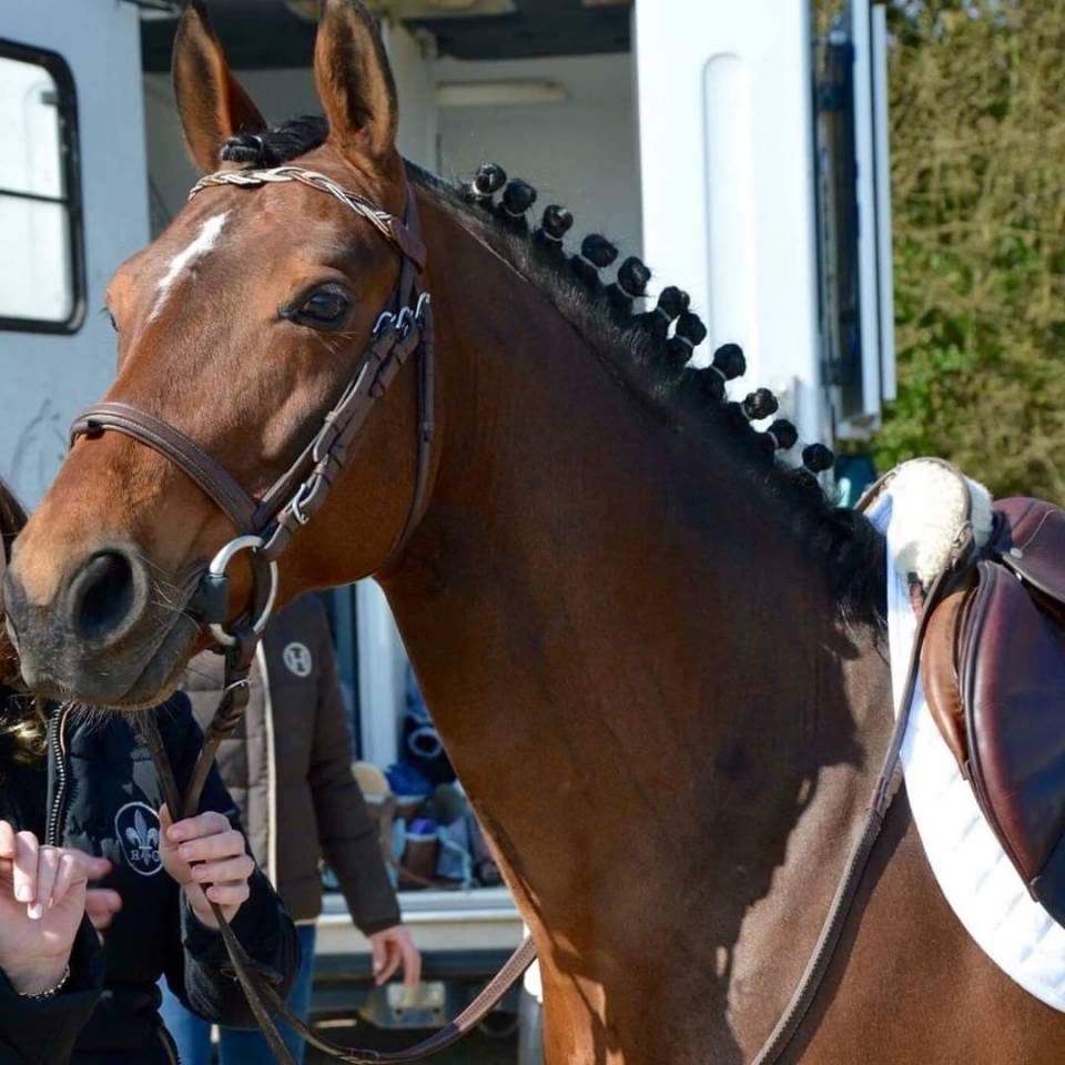 Etalon PFS najisco d'haryns IAC