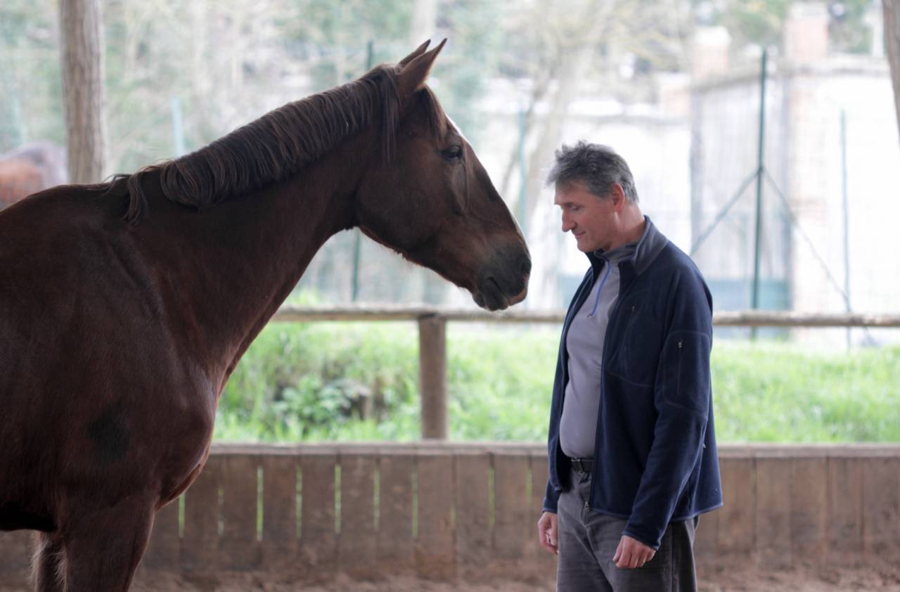 Devenez Équicoach et développez votre activité