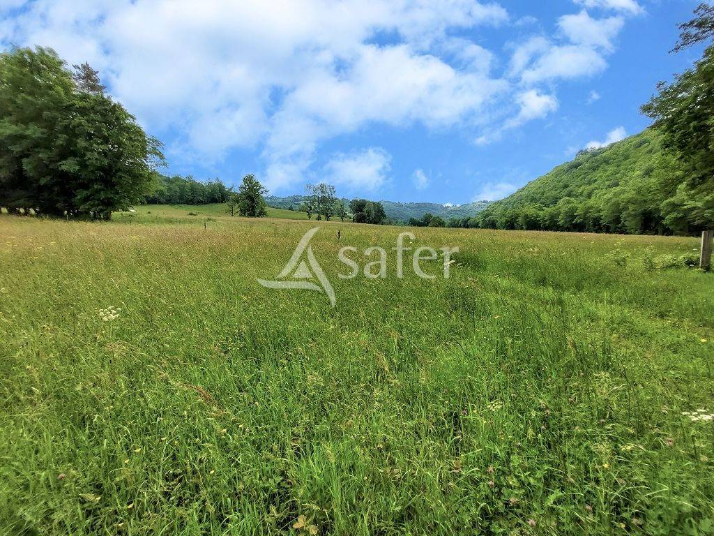 Domaine de 58 ha avec son b&acirc;ti de caract&egrave;re, &agrave; 1h30 de Clermo