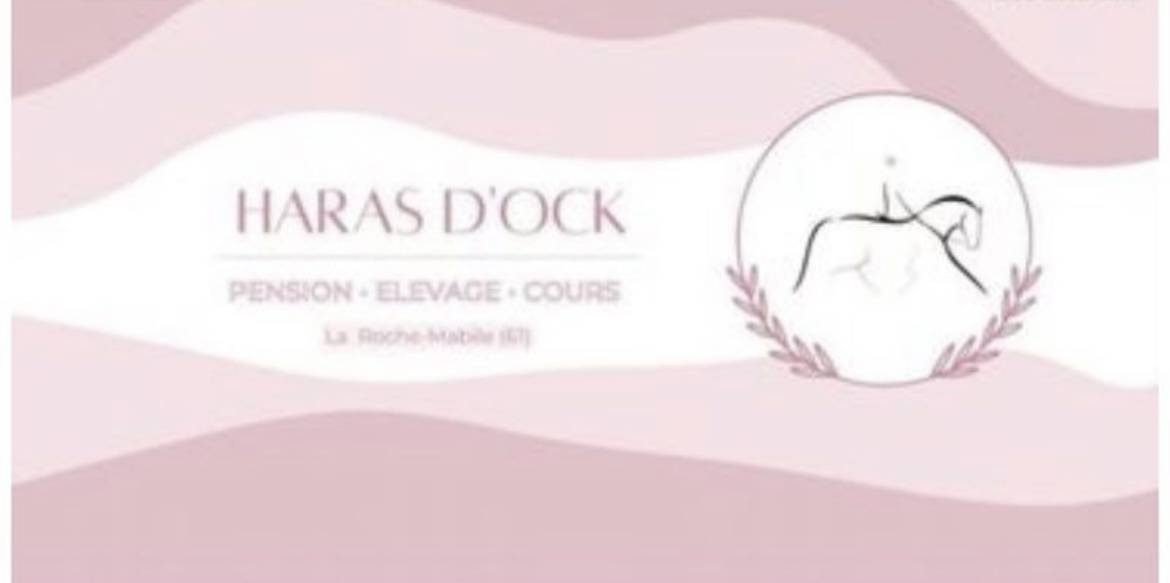 Pension pour chevaux - Haras d’ock 61420 La Roche Mabile