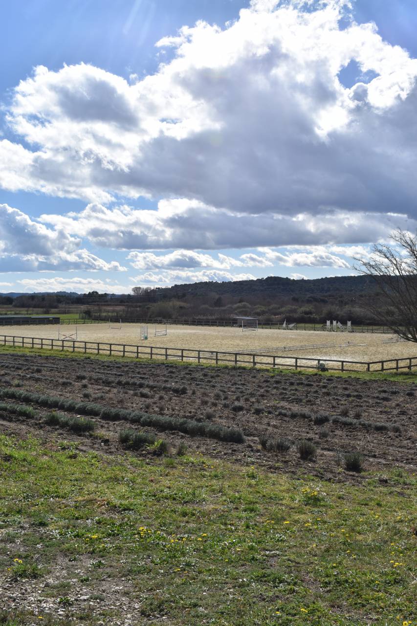 Ecurie de propriétaires - Ecurie des Patras (26)