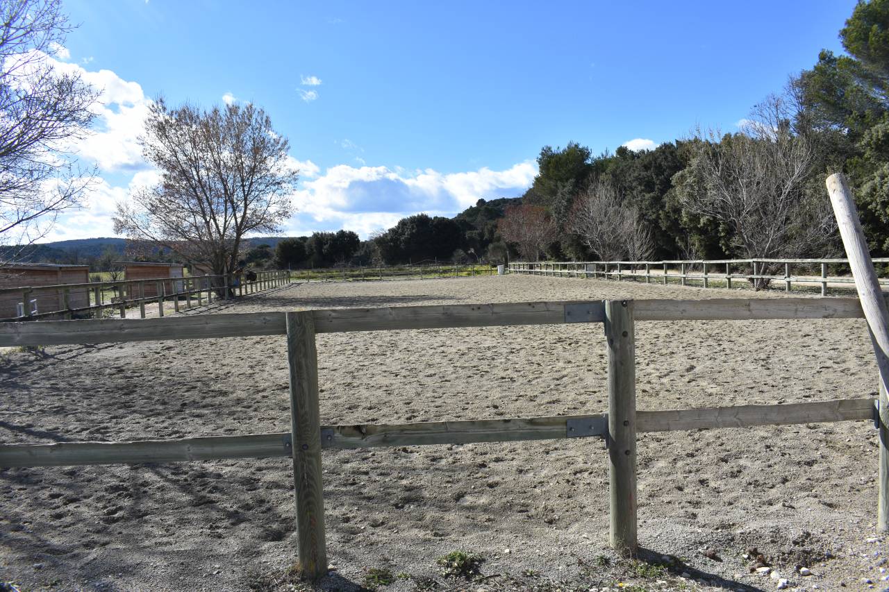 Ecurie de propriétaires - Ecurie des Patras (26)
