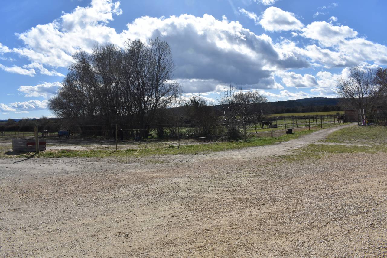 Ecurie de propriétaires - Ecurie des Patras (26)