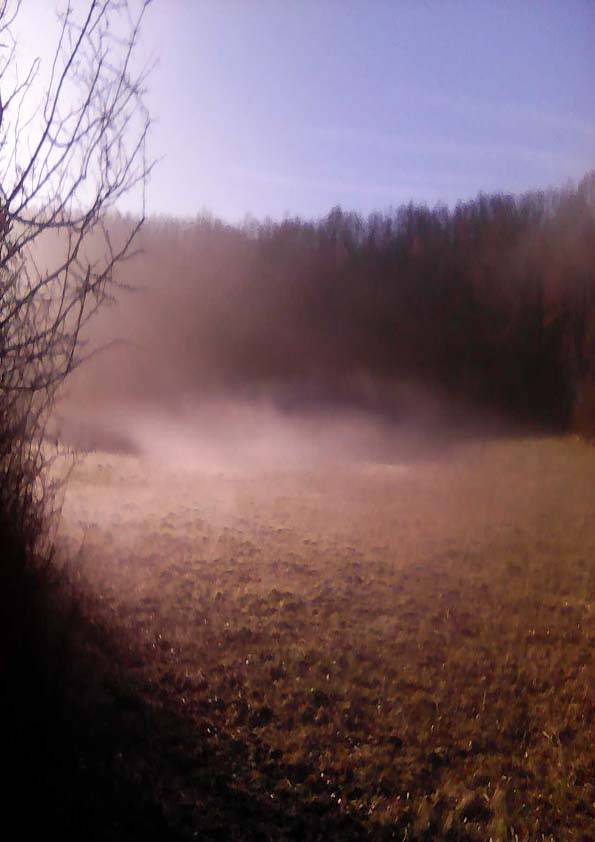 Stages et cours d'équitation éthologique Lot et Garonne