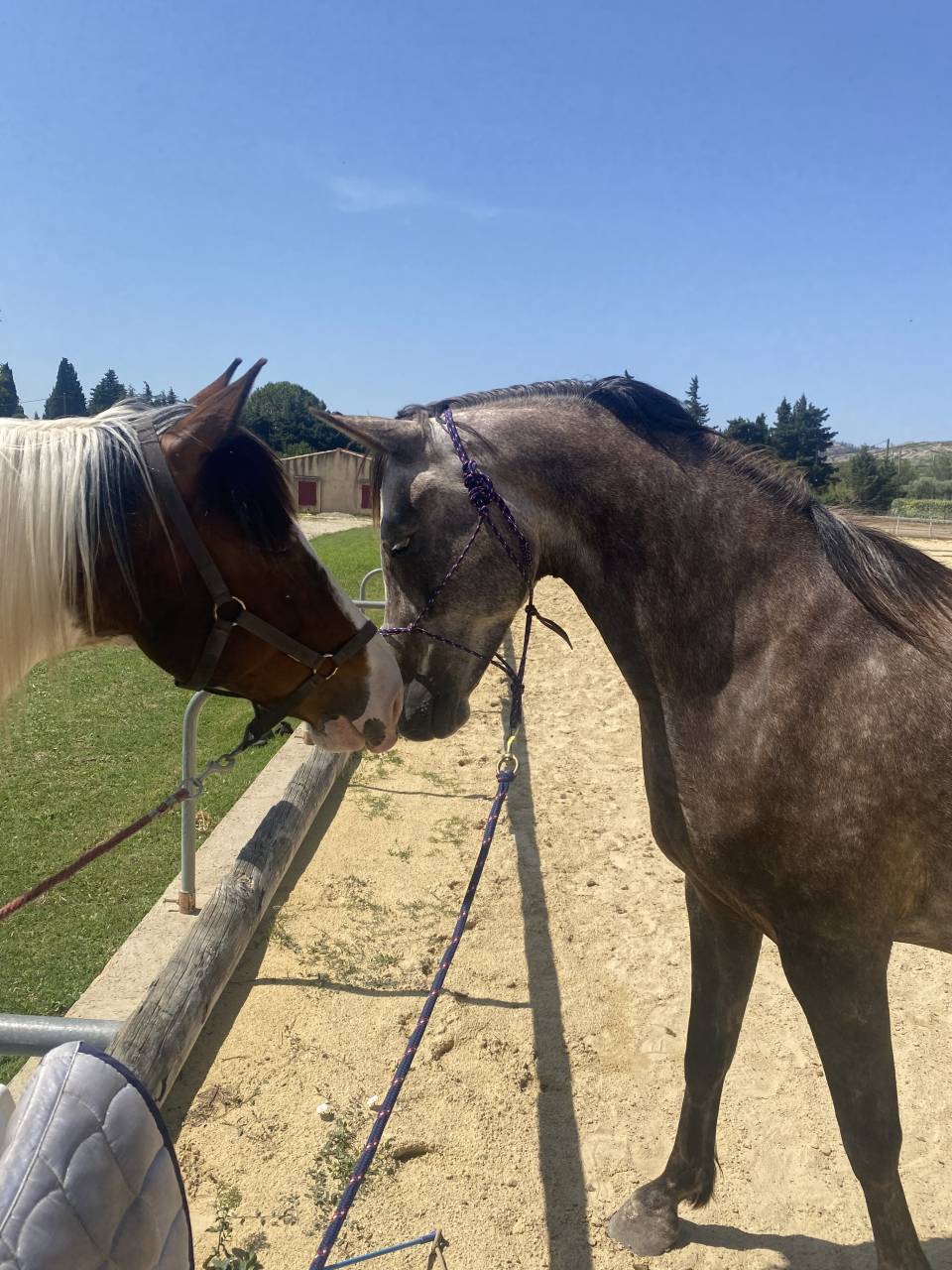 Pensions dans lieu unique 