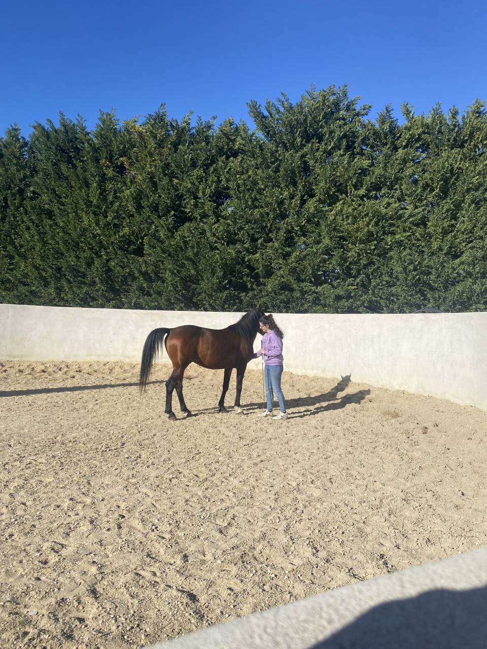 Pensions dans lieu unique 