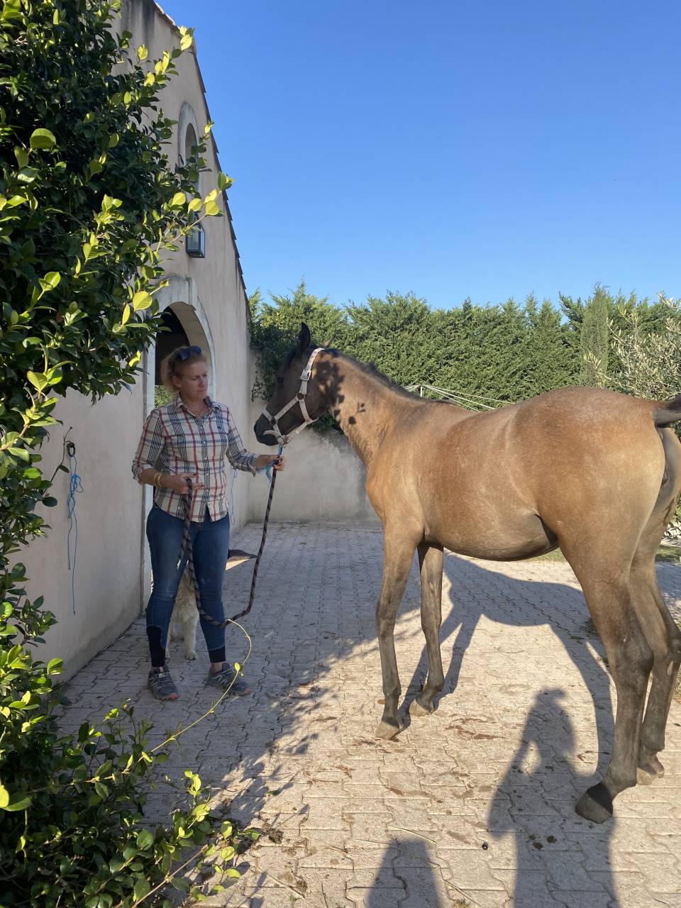 Pensions dans lieu unique 