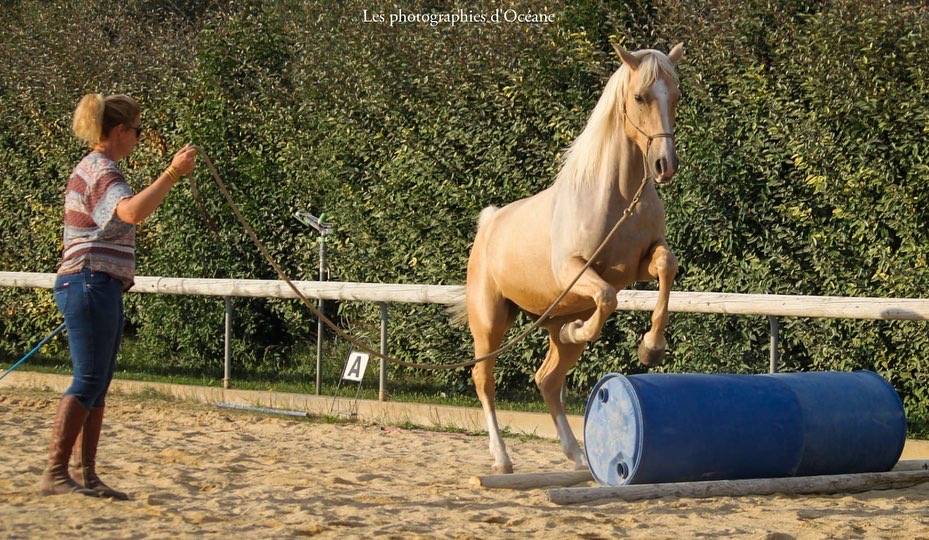 Pensions dans lieu unique 