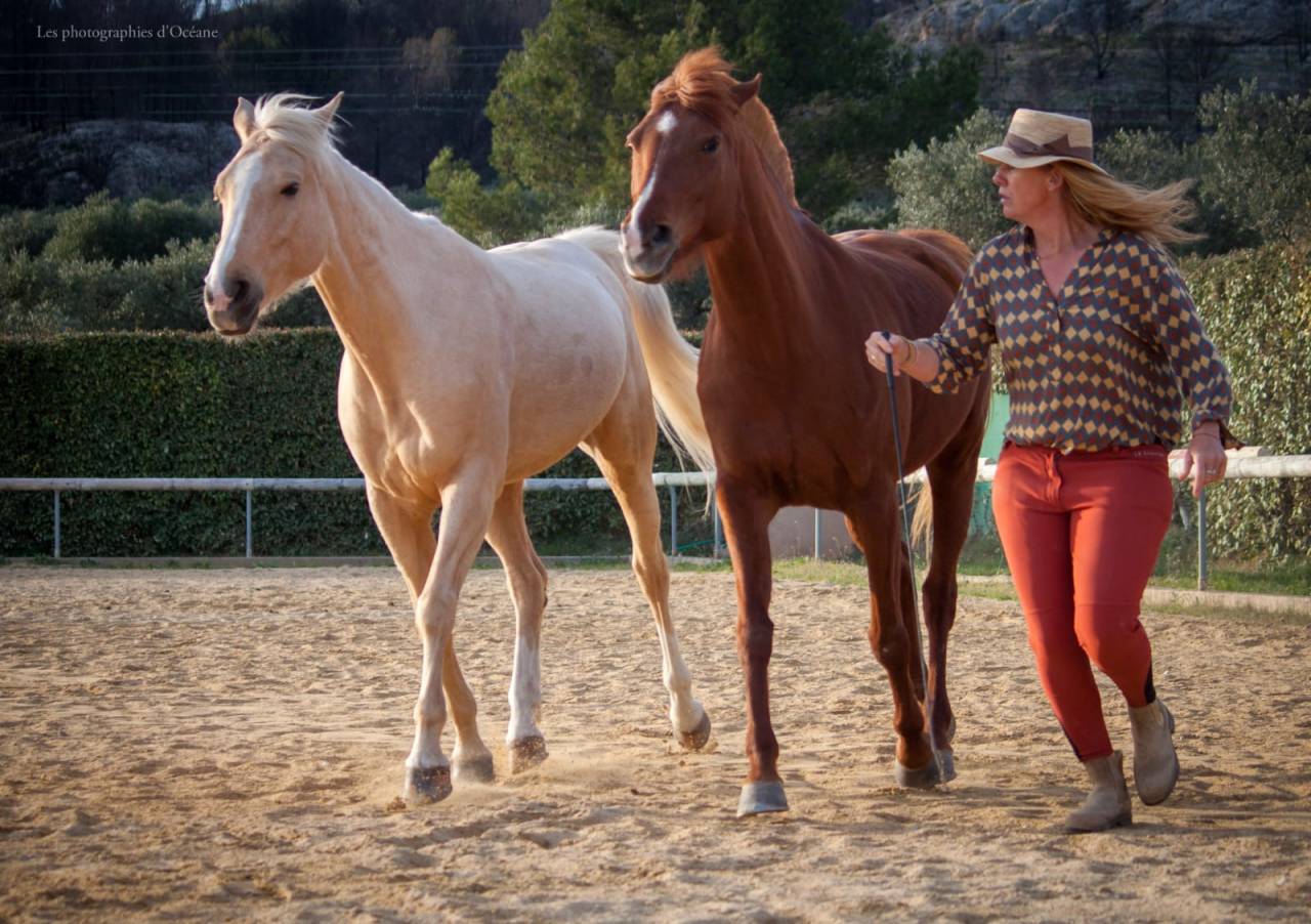 Pensions dans lieu unique 