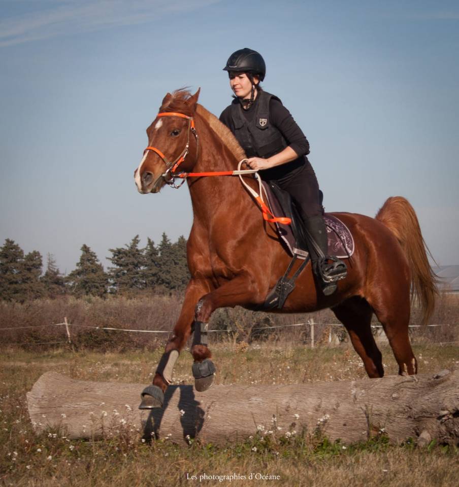 Pensions dans lieu unique 