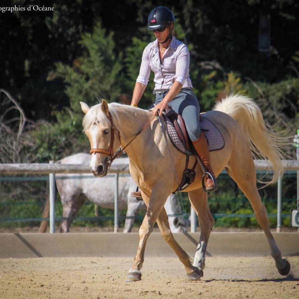 Pensions dans lieu unique 