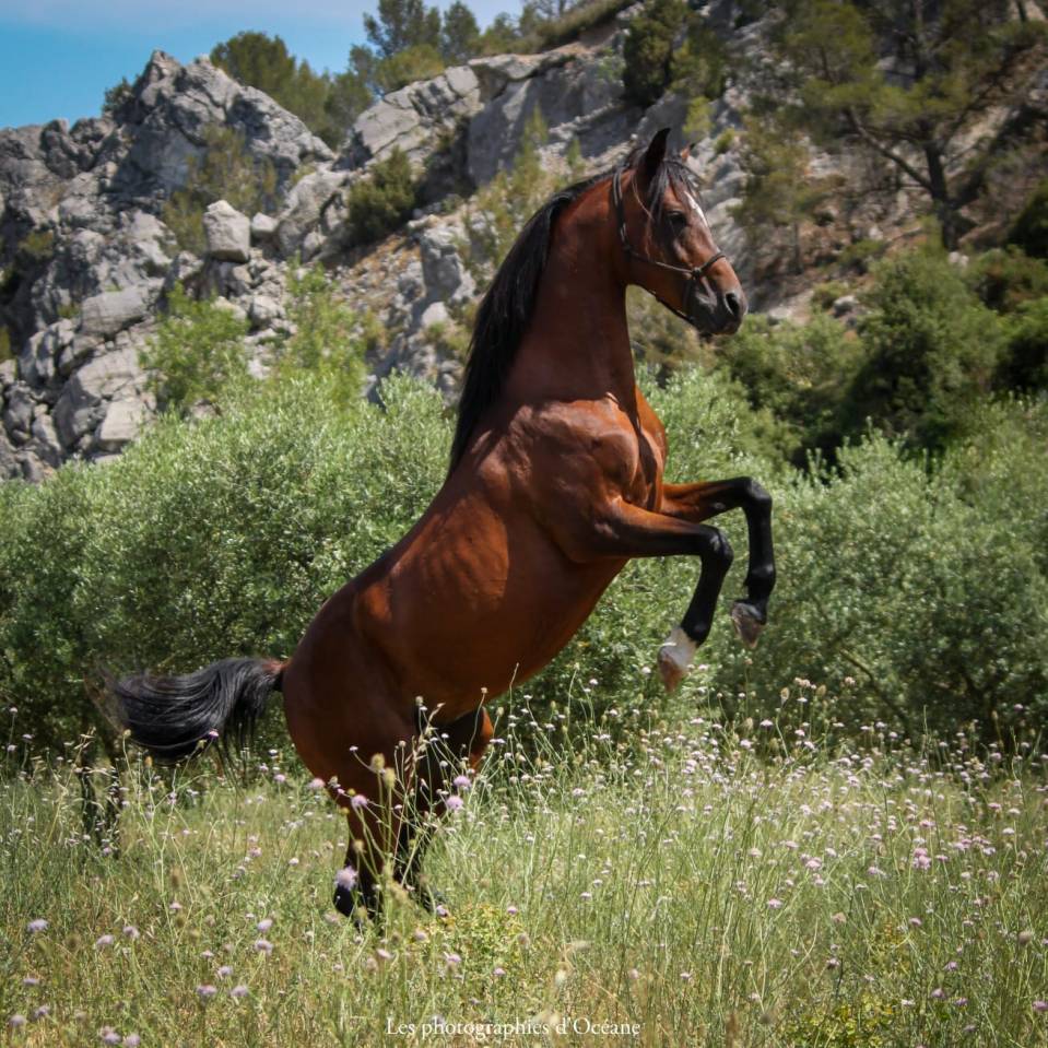 Pensions dans lieu unique 