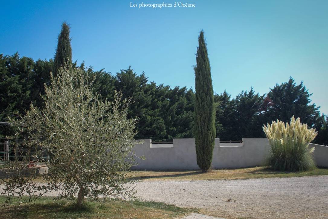 Pensions dans lieu unique 