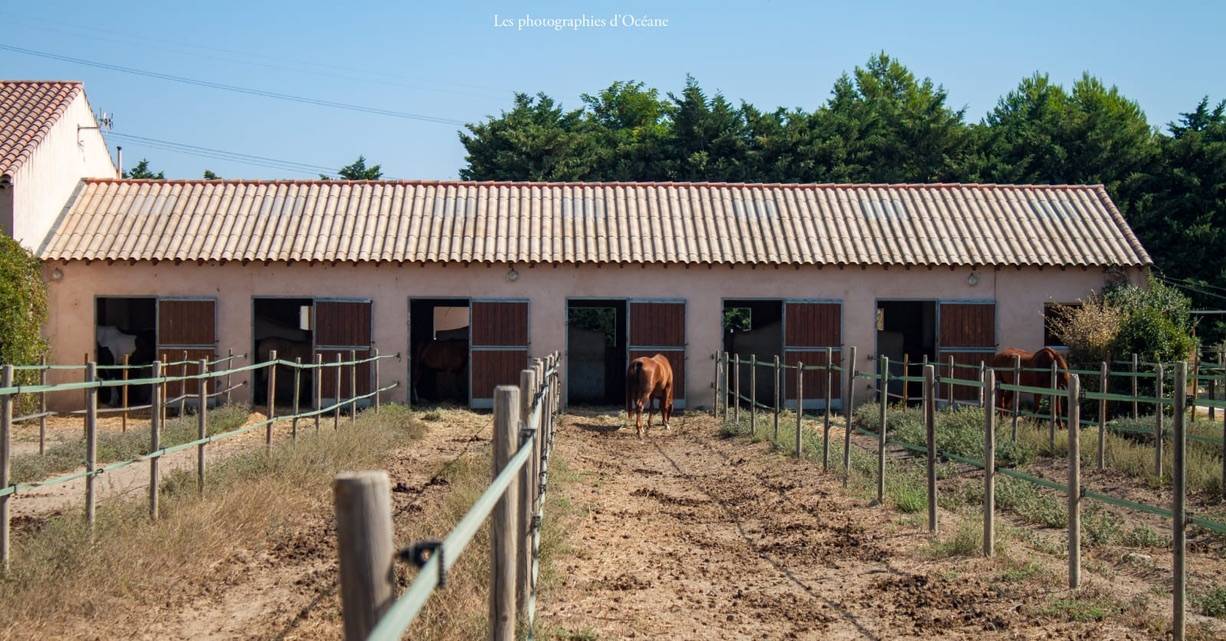Pensions dans lieu unique 