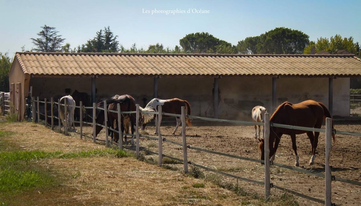Pensions dans lieu unique 